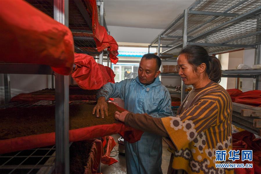 (決戰(zhàn)決勝脫貧攻堅(jiān)·圖文互動)(5)從“因殘致貧”到“帶頭脫貧”——吉林靖宇有這樣一位“脫貧英雄”