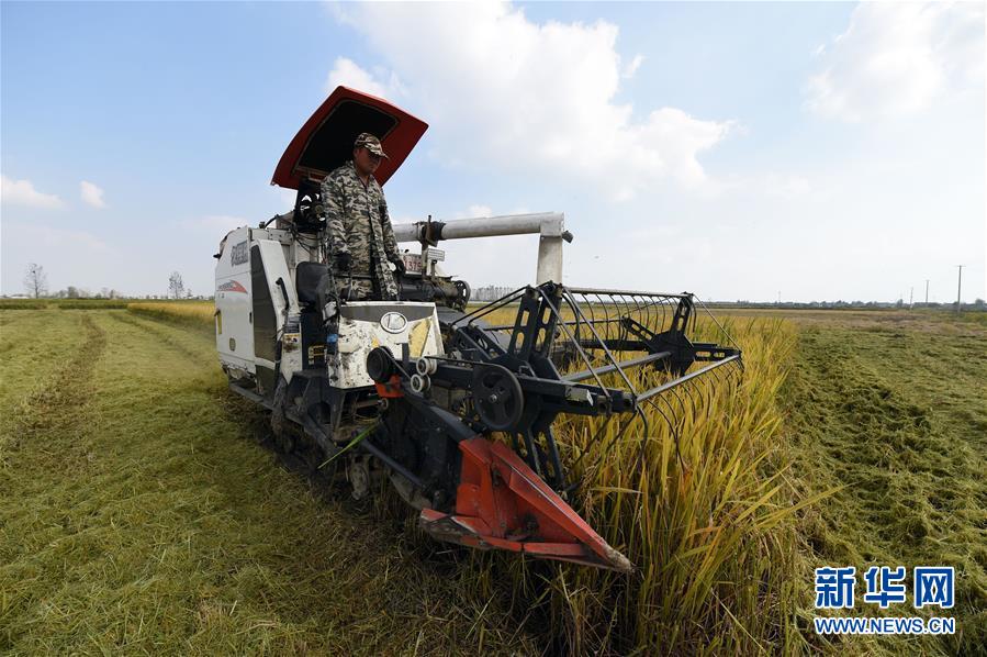 (新華全媒頭條·圖文互動(dòng))(7)長(zhǎng)淮新“斗水”記——寫(xiě)在新中國(guó)治淮70年之時(shí)