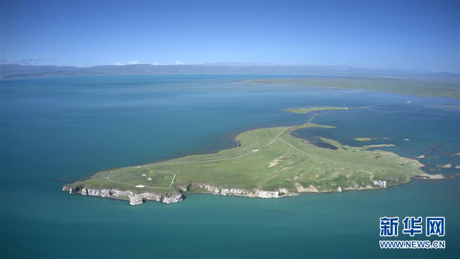 (新華全媒頭條·圖文互動(dòng))(6)大湖見(jiàn)證 ——持續(xù)保護(hù)讓青海湖生態(tài)華麗“蝶變”