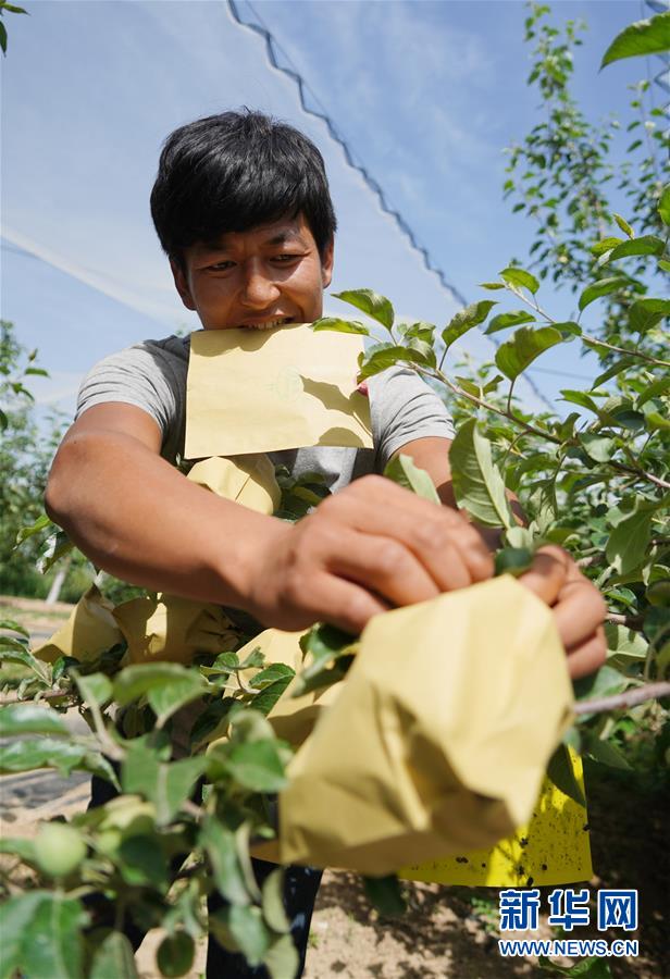 （習近平的小康故事&middot;圖文互動）（2）&ldquo;我很期盼的一件事，就是讓鄉(xiāng)親們飽餐一頓肉&rdquo;&mdash;&mdash;習近平和脫貧攻堅的故事
