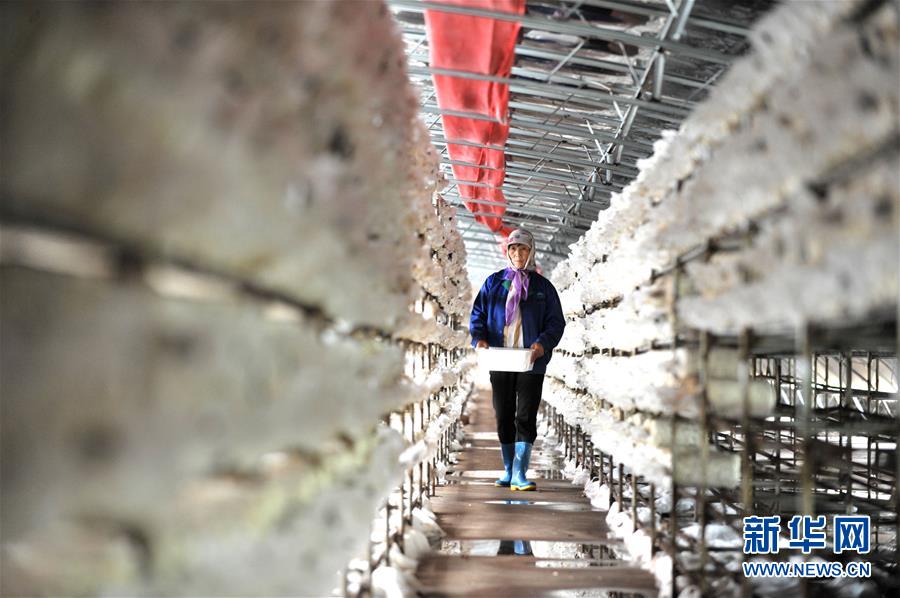 （習近平的小康故事&middot;圖文互動）（6）&ldquo;我很期盼的一件事，就是讓鄉(xiāng)親們飽餐一頓肉&rdquo;&mdash;&mdash;習近平和脫貧攻堅的故事