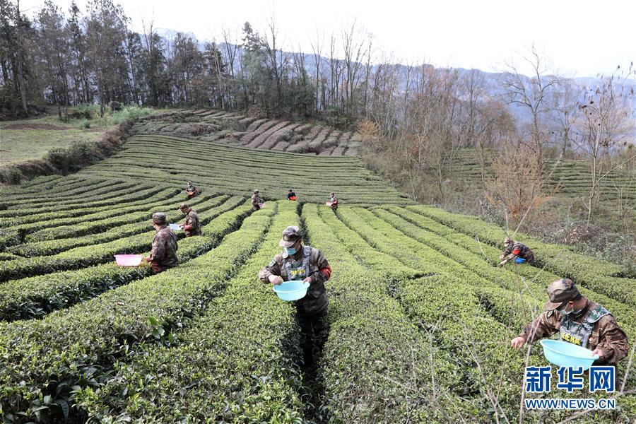(圖文互動)(2)百舸爭流千帆競——“十三五”期間國防動員事業(yè)取得歷史性突破