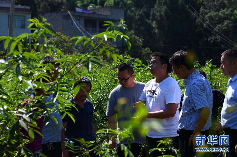 （決戰(zhàn)決勝脫貧攻堅(jiān)&middot;圖文互動(dòng)）（3）&ldquo;堵槍眼&rdquo;的脫貧戰(zhàn)怎么打？&mdash;&mdash;繼光村見(jiàn)聞