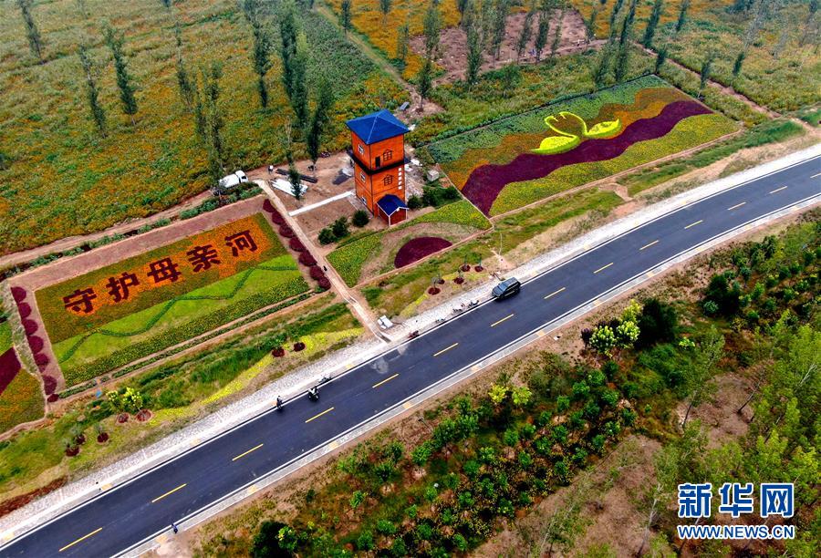 (新華全媒頭條·圖文互動(dòng))(6)從“四亂”突出到生態(tài)修復(fù) 黃河漸成中原“綠飄帶”