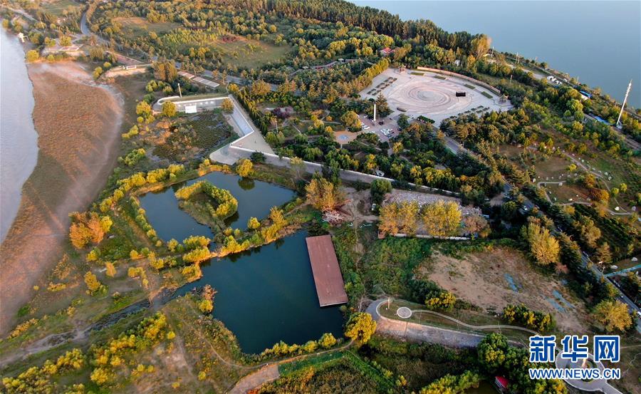 (新華全媒頭條·圖文互動(dòng))(14)從“四亂”突出到生態(tài)修復(fù) 黃河漸成中原“綠飄帶”