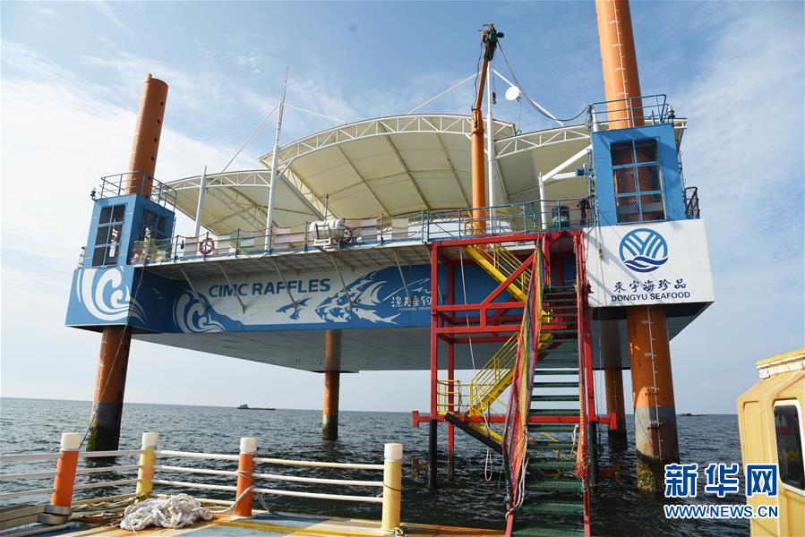 (新華全媒頭條·圖文互動)(9)“拔”海起牧場 “耕”海新牧歌