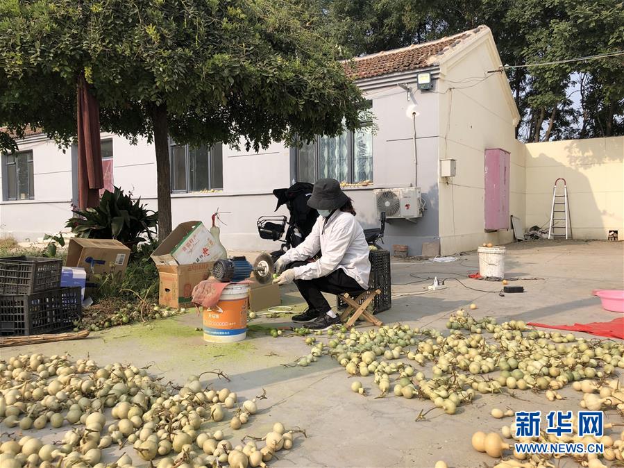 （圖文互動(dòng)）（1）&ldquo;葫蘆村&rdquo;的&ldquo;生意經(jīng)&rdquo;