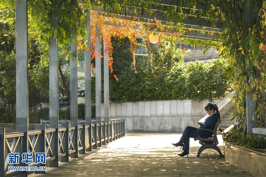 （全面建成小康社會(huì)&ldquo;百城千縣萬(wàn)村調(diào)研行&rdquo;&middot;圖文互動(dòng)）（2）武漢：從&ldquo;見縫插樓&rdquo;到&ldquo;見縫播綠&rdquo;