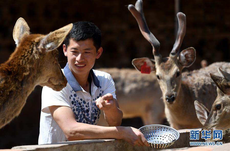 (“中國(guó)面貌”系列述評(píng)·圖文互動(dòng))(3)奇跡中國(guó)——70年中國(guó)面貌變遷述評(píng)之一