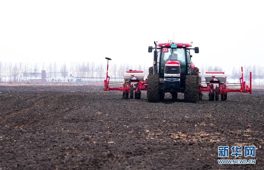 (在習(xí)近平新時代中國特色社會主義思想指引下——新時代新作為新篇章·習(xí)近平總書記關(guān)切事·圖文互動)(10)春耕忙 信心足——谷雨時節(jié)走馬東北直擊糧事