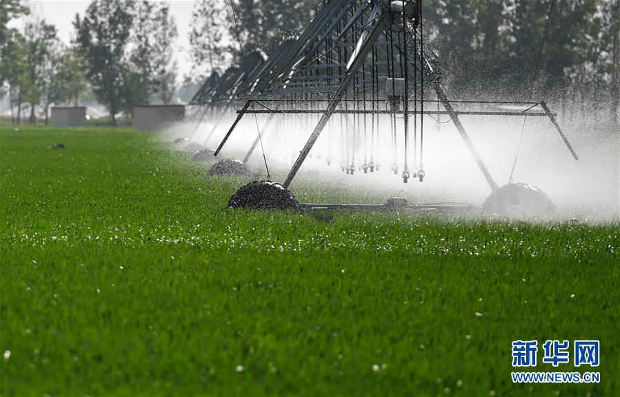 （在習近平新時代中國特色社會主義思想指引下&mdash;&mdash;新時代新作為新篇章&middot;習近平總書記關(guān)切事&middot;圖文互動）（3）新農(nóng)事、新希望&mdash;&mdash;夏收前田間新動態(tài)掃描