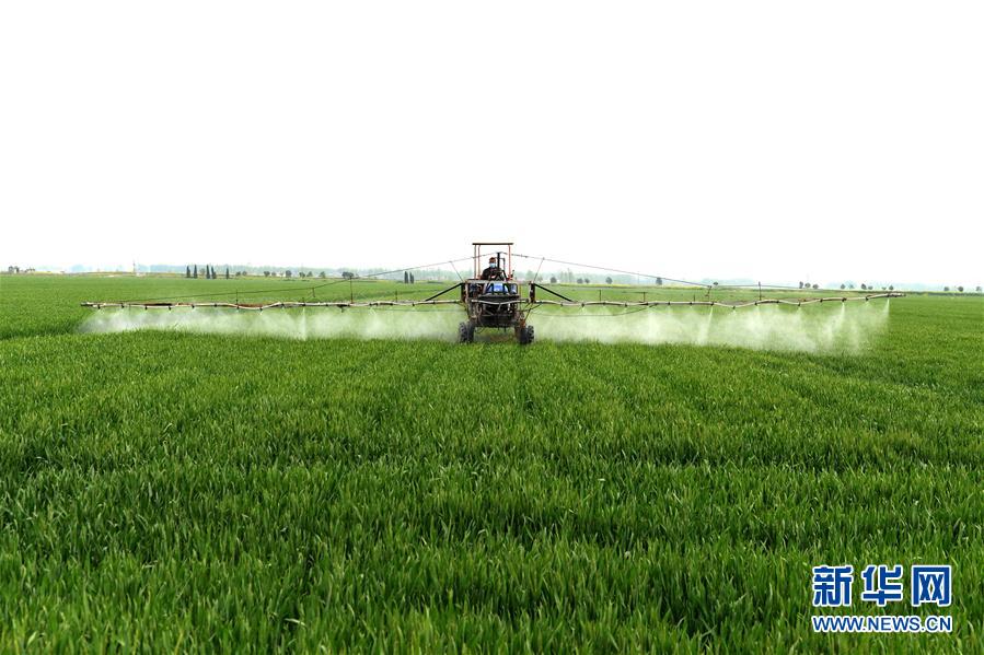 （在習近平新時代中國特色社會主義思想指引下&mdash;&mdash;新時代新作為新篇章&middot;習近平總書記關(guān)切事&middot;圖文互動）（10）新農(nóng)事、新希望&mdash;&mdash;夏收前田間新動態(tài)掃描