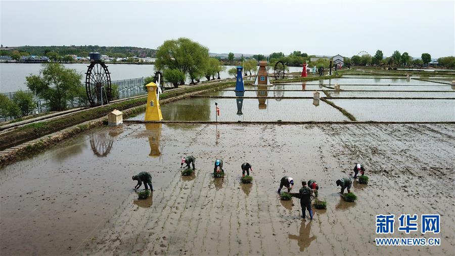 (在習(xí)近平新時(shí)代中國(guó)特色社會(huì)主義思想指引下——新時(shí)代新作為新篇章·習(xí)近平總書(shū)記關(guān)切事·圖文互動(dòng))(6)讓農(nóng)民挑上“金扁擔(dān)”——農(nóng)業(yè)現(xiàn)代化的生動(dòng)實(shí)踐掃描