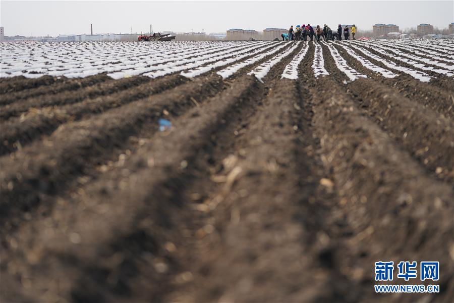 （在習(xí)近平新時代中國特色社會主義思想指引下&mdash;&mdash;新時代新作為新篇章&middot;習(xí)近平總書記關(guān)切事&middot;圖文互動）（3）讓每一寸耕地都成為豐收的沃土&mdash;&mdash;我國加強(qiáng)耕地保護(hù)推進(jìn)&ldquo;藏糧于地&rdquo;