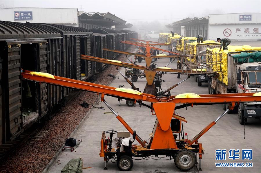 (在習(xí)近平新時(shí)代中國特色社會(huì)主義思想指引下——新時(shí)代新作為新篇章·習(xí)近平總書記關(guān)切事·圖文互動(dòng))(5)食為政首——穩(wěn)住農(nóng)業(yè)基本盤增添發(fā)展底氣