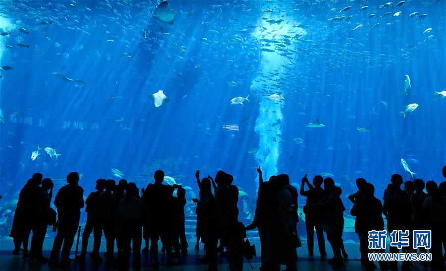 （在習(xí)近平新時(shí)代中國(guó)特色社會(huì)主義思想指引下&mdash;&mdash;新時(shí)代新作為新篇章&middot;習(xí)近平總書記關(guān)切事&middot;圖文互動(dòng)）（9）感受開放新魅力&mdash;&mdash;海南自由貿(mào)易港建設(shè)開局觀察