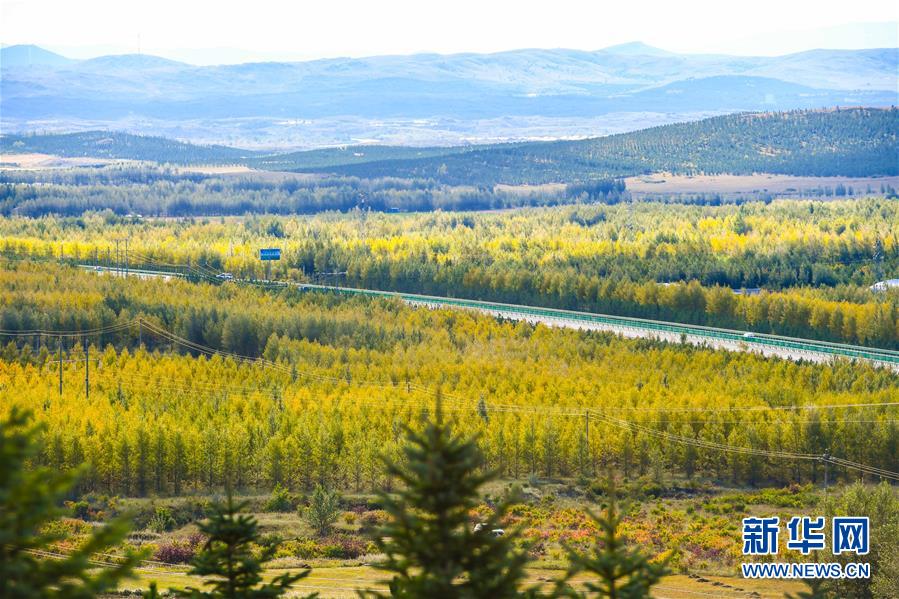 （在習近平新時代中國特色社會主義思想指引下&mdash;&mdash;新時代新作為新篇章&middot;習近平總書記關切事&middot;圖文互動）（7）綠意，在黃沙中鋪展&mdash;&mdash;我國防沙治沙紀實