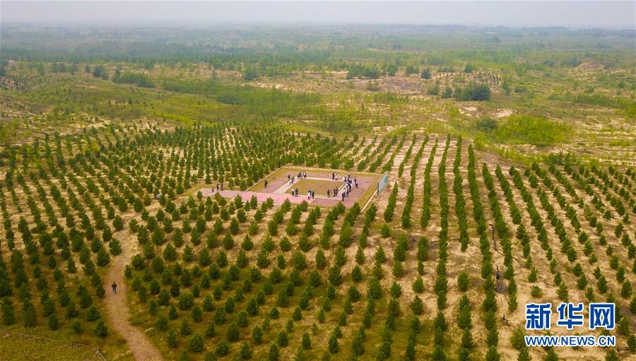 （在習近平新時代中國特色社會主義思想指引下&mdash;&mdash;新時代新作為新篇章&middot;習近平總書記關切事&middot;圖文互動）（2）綠意，在黃沙中鋪展&mdash;&mdash;我國防沙治沙紀實