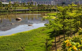 農(nóng)村水能資源開(kāi)發(fā)現(xiàn)狀