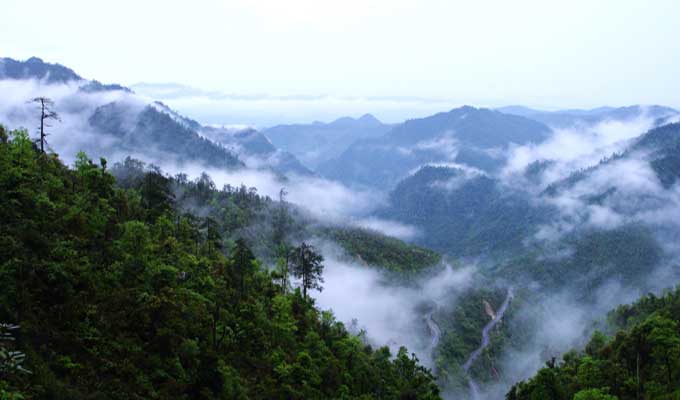 廣東乳源、廣東乳陽(yáng)林場(chǎng)、云南華寧葫蘆口電站