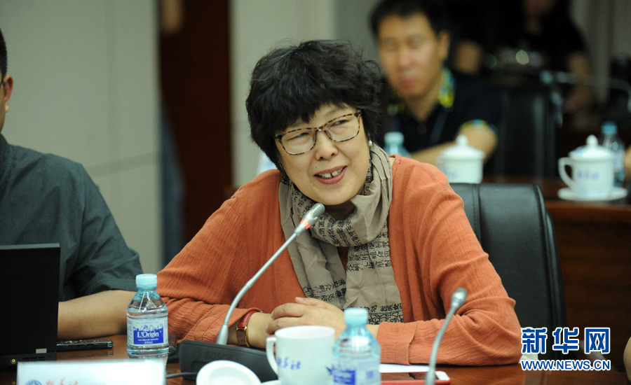 陳小波：新華人對(duì)歷史的擔(dān)當(dāng)、情感與良知