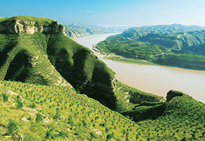 張建龍：&ldquo;三北工程&rdquo;實(shí)現(xiàn)生態(tài)、經(jīng)濟(jì)、社會(huì)效益&ldquo;多贏&rdquo;