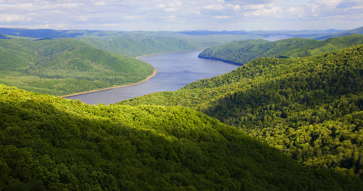 張建龍：&ldquo;三北工程&rdquo;實(shí)現(xiàn)生態(tài)、經(jīng)濟(jì)、社會(huì)效益&ldquo;多贏&rdquo;
