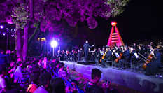 校園里的&ldquo;森林音樂會(huì)&rdquo;