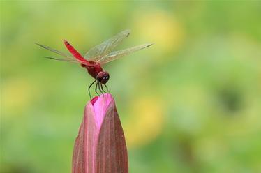 2019，精&ldquo;彩&rdquo;紛呈