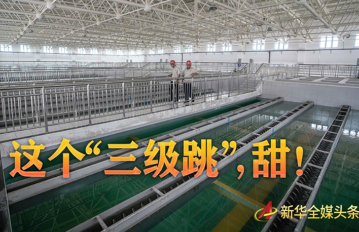 這個(gè)&ldquo;三級跳&rdquo;，甜！