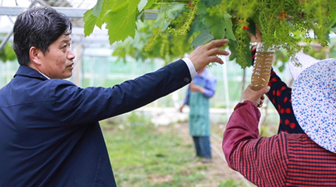 聶永平與&ldquo;小康村&rdquo;的泥土鄉(xiāng)情