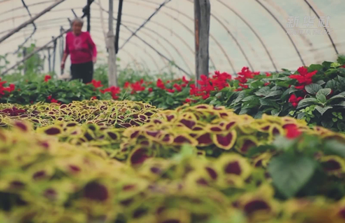 幸福來敲門丨多彩長卷&middot;黑土地