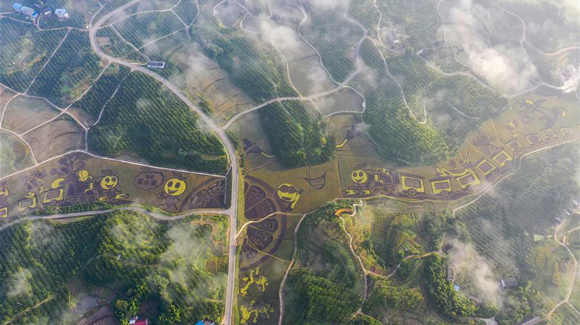 百城千縣萬村調(diào)研行｜在三峽橘鄉(xiāng)，遇見最美的田園時光！