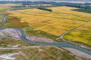 荒漠林海生新&ldquo;芽&rdquo;：新疆阿克蘇柯柯牙綠化工程再升級