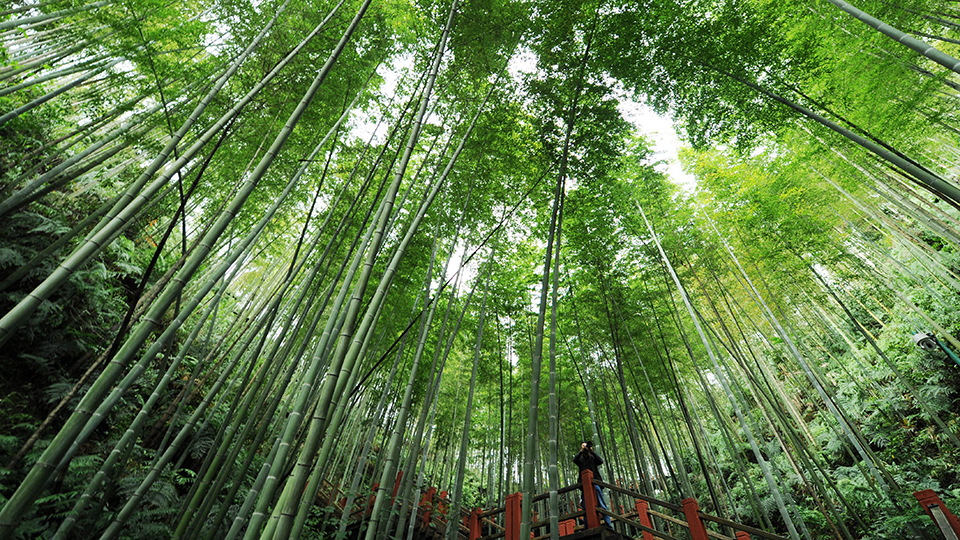 合作共治、責任共擔、效益共享&mdash;&mdash;赤水河流域跨省生態(tài)補償取得積極成效