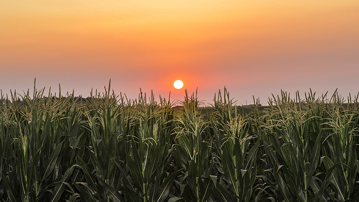 風卷紅旗過大關&mdash;&mdash;以習近平同志為核心的黨中央領航中國為實現(xiàn)第一個百年奮斗目標而奮勇拼搏紀實