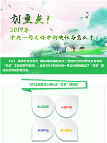 劃重點！2019年中央一號文件中的硬任務怎么干