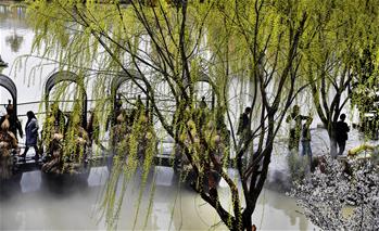 春意盎然的&ldquo;西北小江南&rdquo;