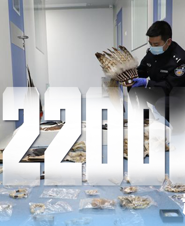 抗疫有&ldquo;法&rdquo;，就是這么給力！