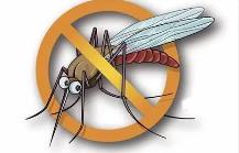 夏季，常見(jiàn)蚊蟲(chóng)如何應(yīng)對(duì)
