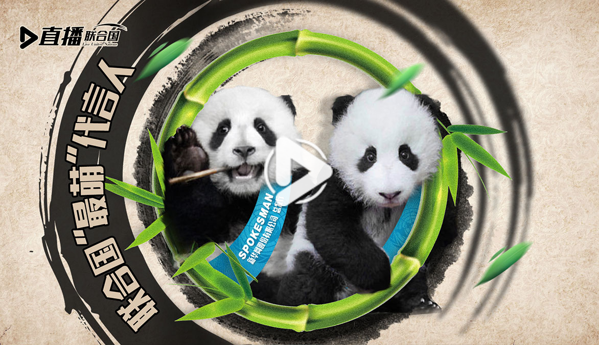《直播聯(lián)合國(guó)》第三十五集：聯(lián)合國(guó)&ldquo;最萌&rdquo;代言人