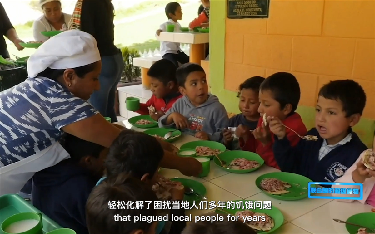 藜麥的蹤跡遍布北美、歐洲、亞洲和非洲多地