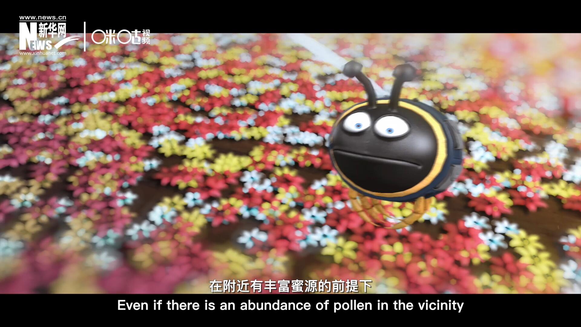 你知道一只蜜蜂采一公斤蜜有多辛苦嗎？據(jù)統(tǒng)計(jì)，在附近有豐富蜜源的前提下，一只蜜蜂大約需要飛行四萬千米