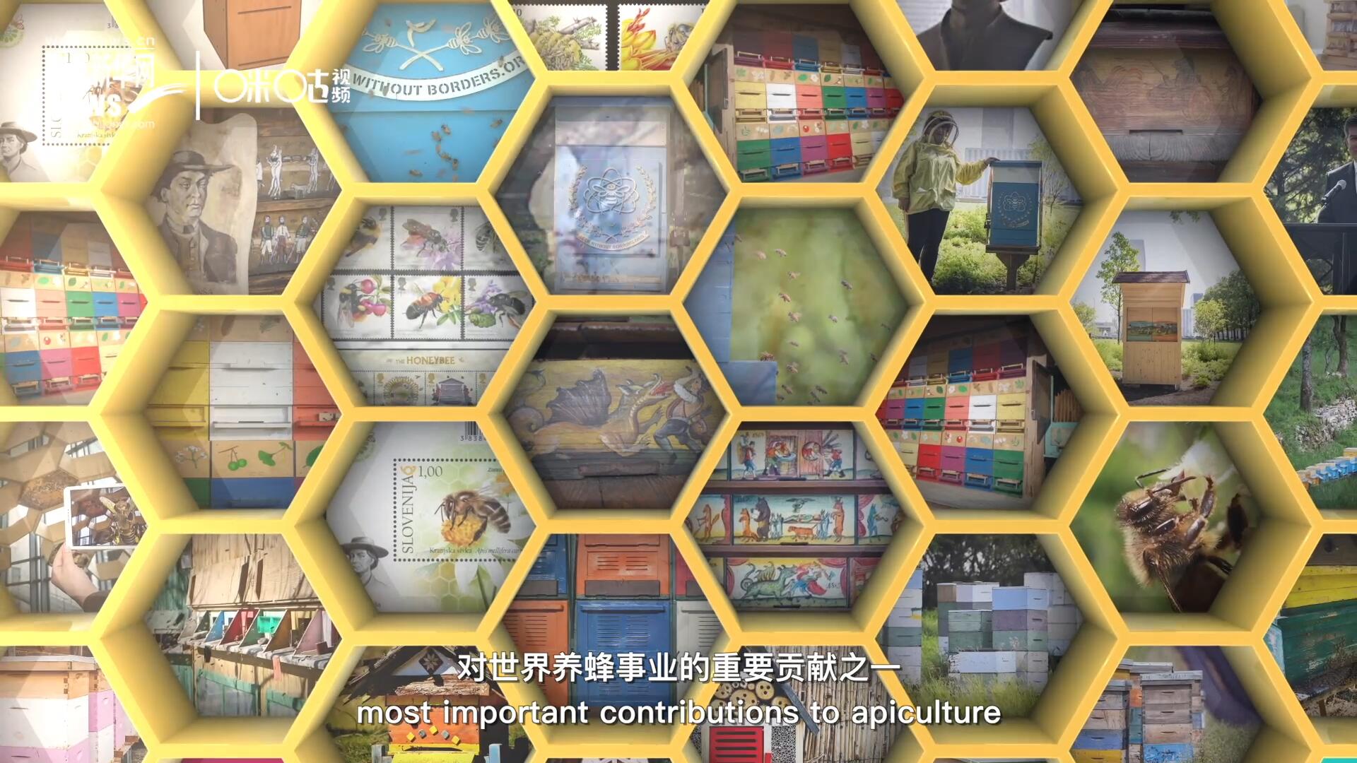 他開始用色彩豐富的畫作來裝飾蜂巢的前板，幫助不同蜂群按照習(xí)性和顏色順利找到自己的蜂巢