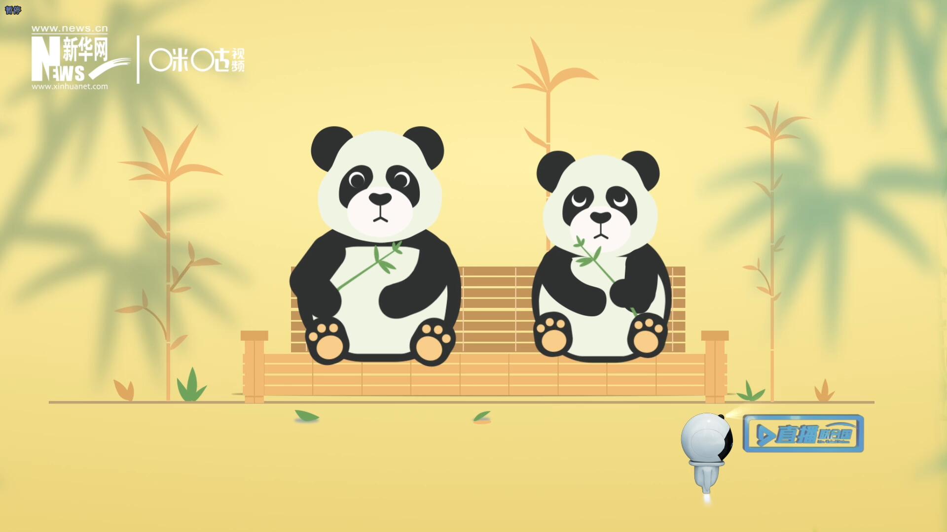 &ldquo;哥哥你看，又有人來看我們了。&rdquo;&ldquo;有什么奇怪的，我們可是聯(lián)合國(guó)&lsquo;最萌&rsquo;的大使?。?rdquo;。