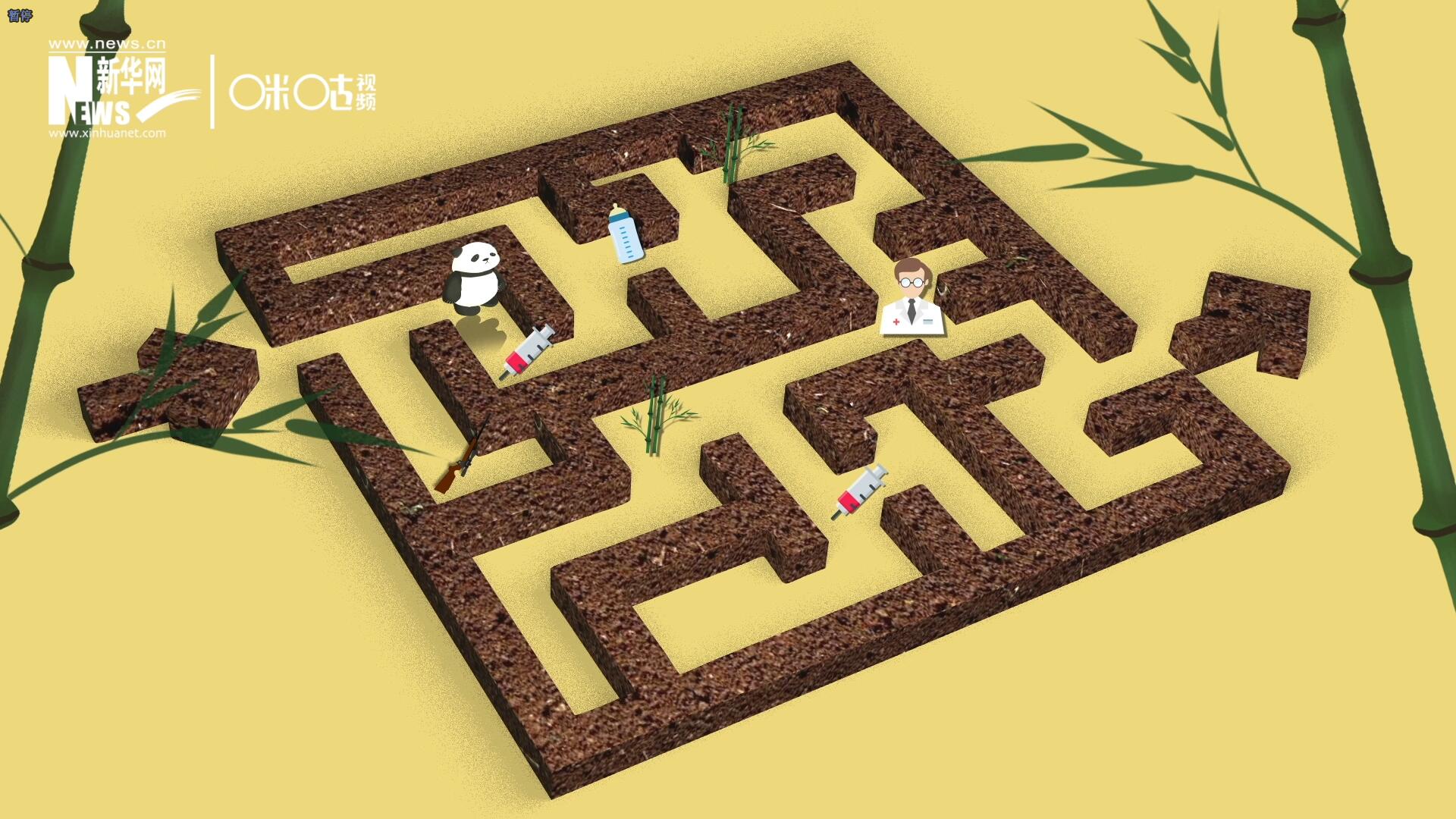 2016年，國(guó)際自然保護(hù)聯(lián)盟將大熊貓的物種瀕危等級(jí)，從&ldquo;瀕危&rdquo;下降到了&ldquo;易危&rdquo;。