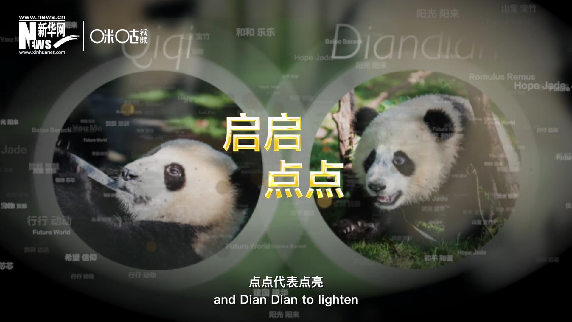 啟啟代表&ldquo;啟發(fā)&rdquo;，點(diǎn)點(diǎn)代表&ldquo;點(diǎn)亮&rdquo;，象征著2030年可持續(xù)發(fā)展議程 的&ldquo;起點(diǎn)&rdquo;，也象征著全球可持續(xù)發(fā)展路徑的新起點(diǎn)。