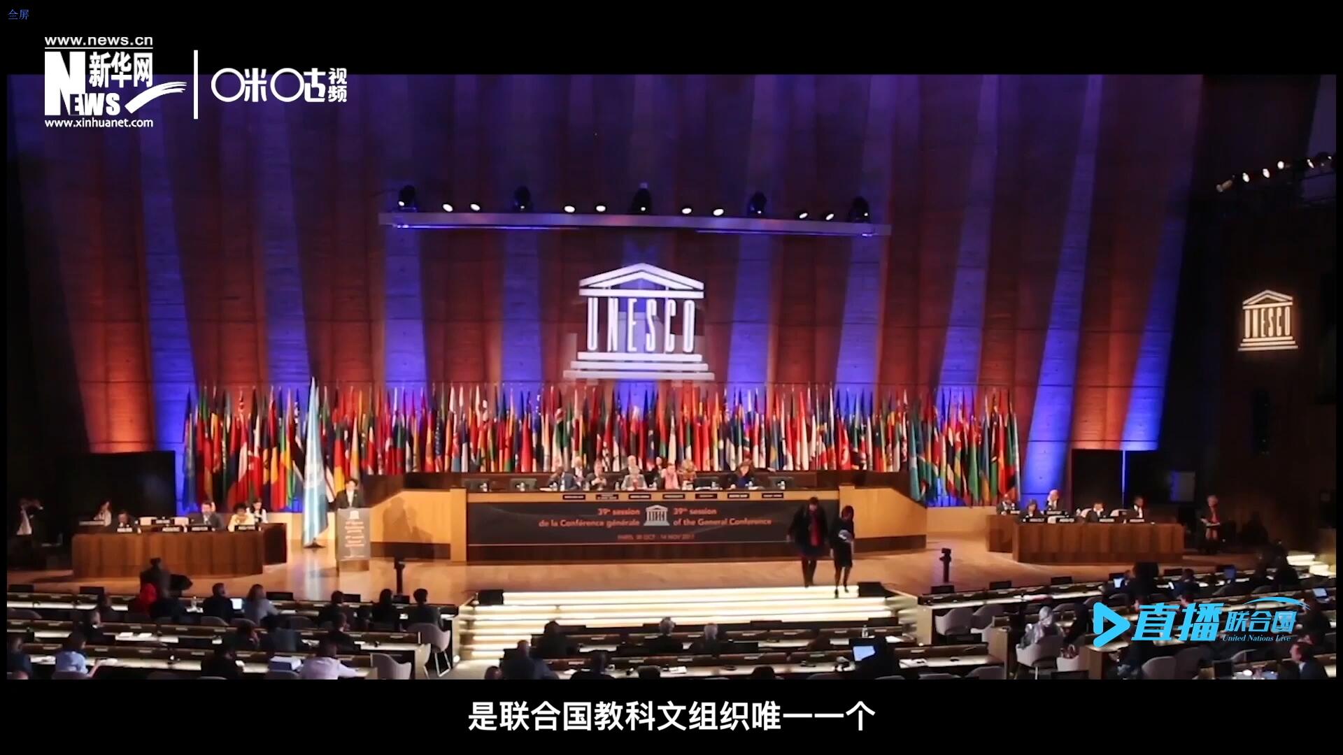 民間藝術國際組織成立于1979年，是聯(lián)合國教科文組織唯一一個以保護和挖掘國際民間藝術為工作中心的國際機構(gòu)。