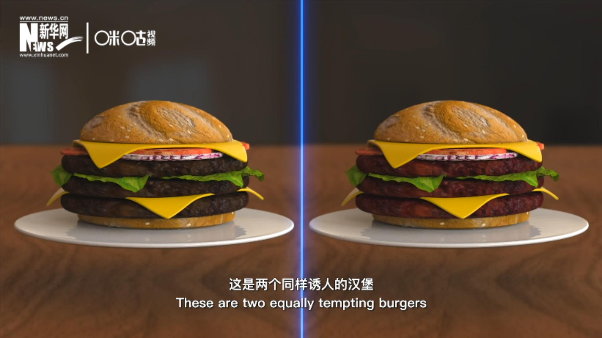 人造肉漢堡能在生產(chǎn)過程中節(jié)約水、土地、排放以及能量