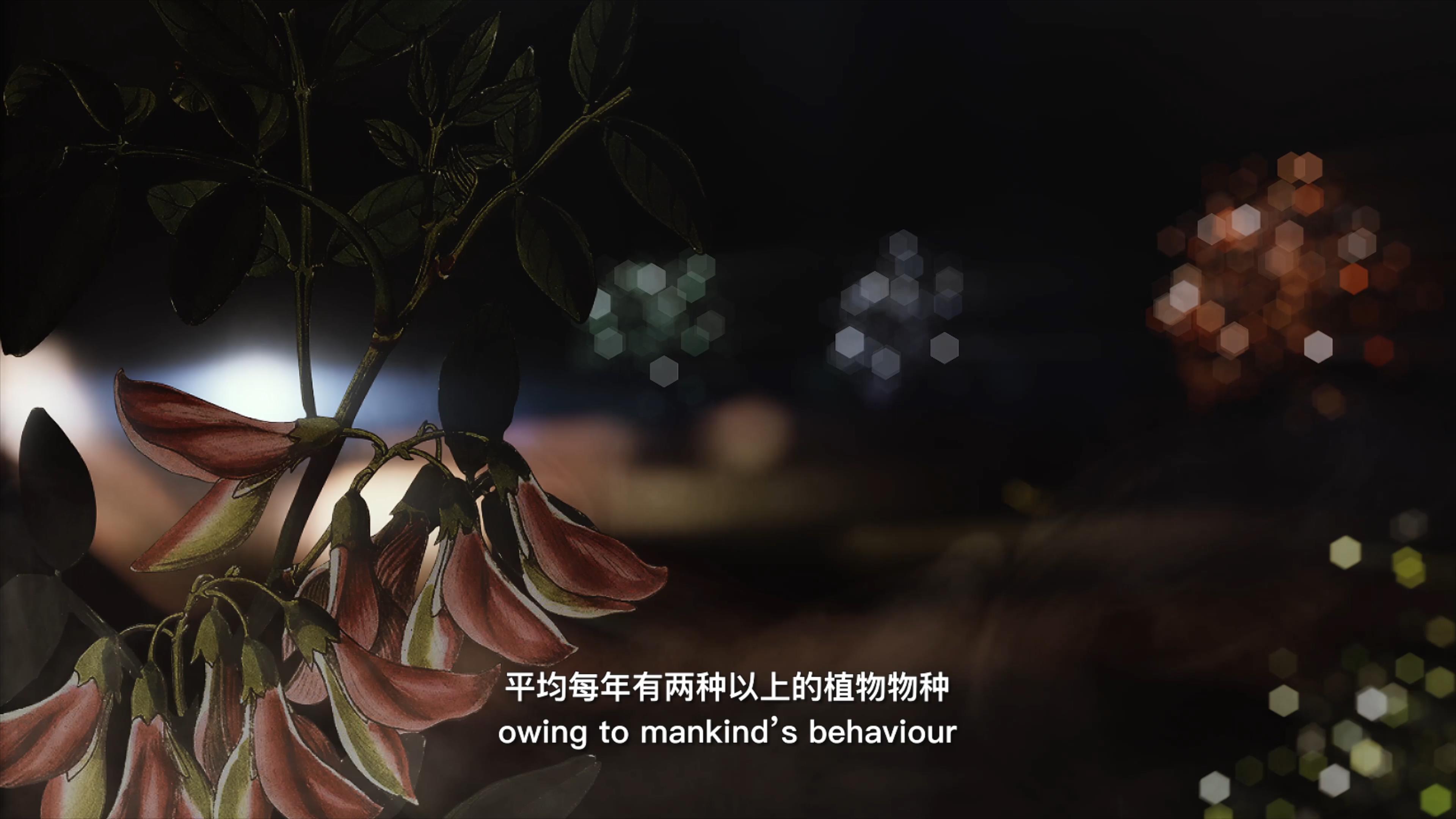 自18世紀(jì)中葉以來，許多植物物種因?yàn)槿祟惖脑蚨鴱牡厍蛏舷? />      
<div   id=